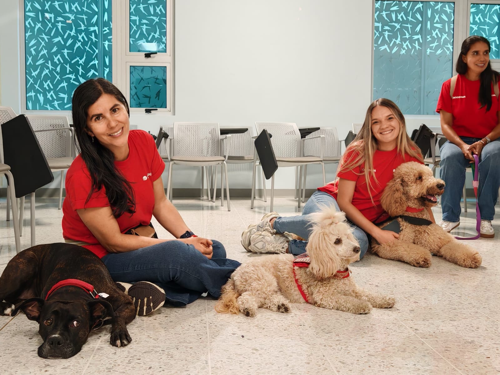 Voluntarias y perros descansando en hospital